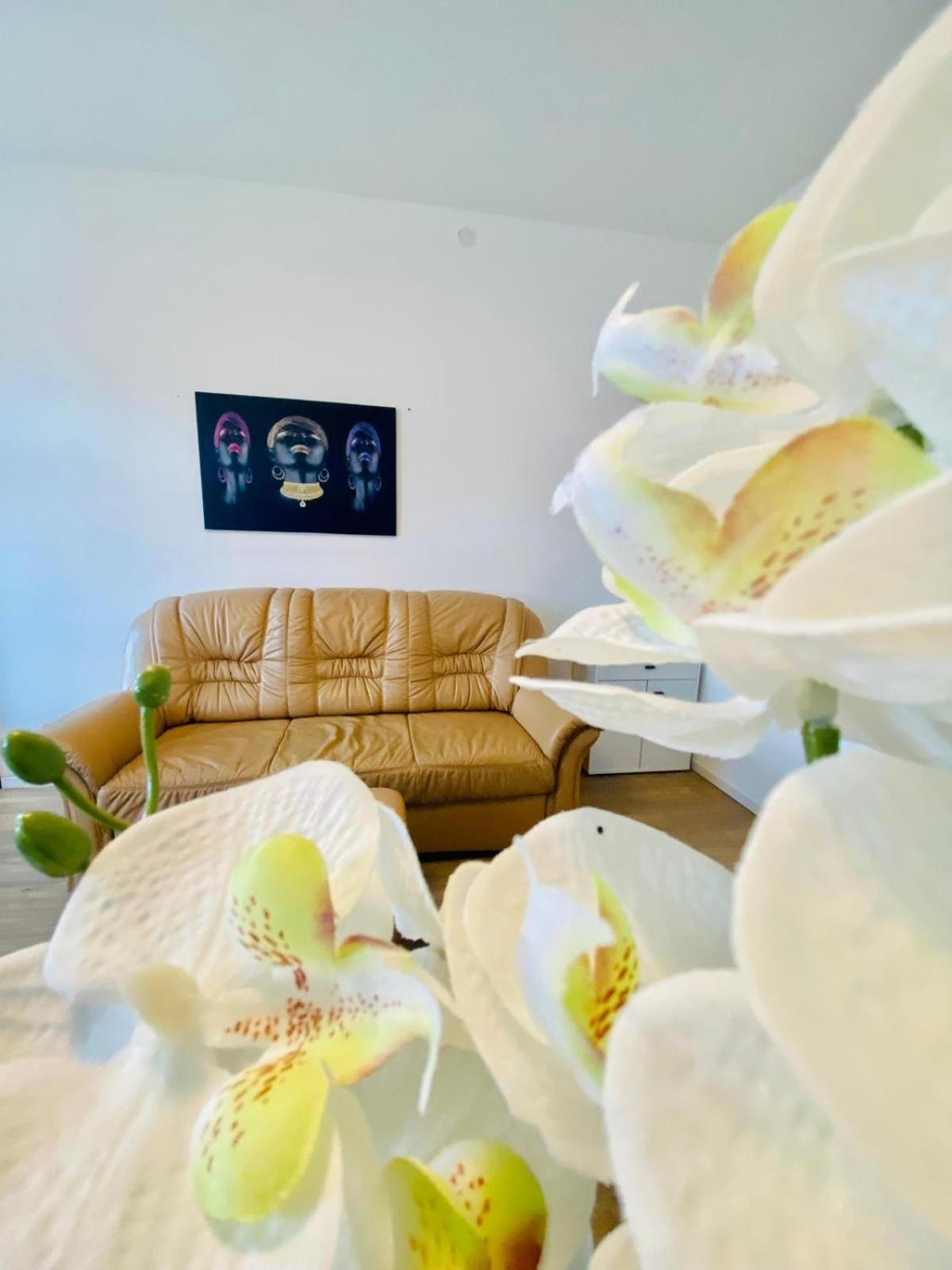 Apartment Spacious 4br Up To 15 Guests 15 Min To Danube Wien