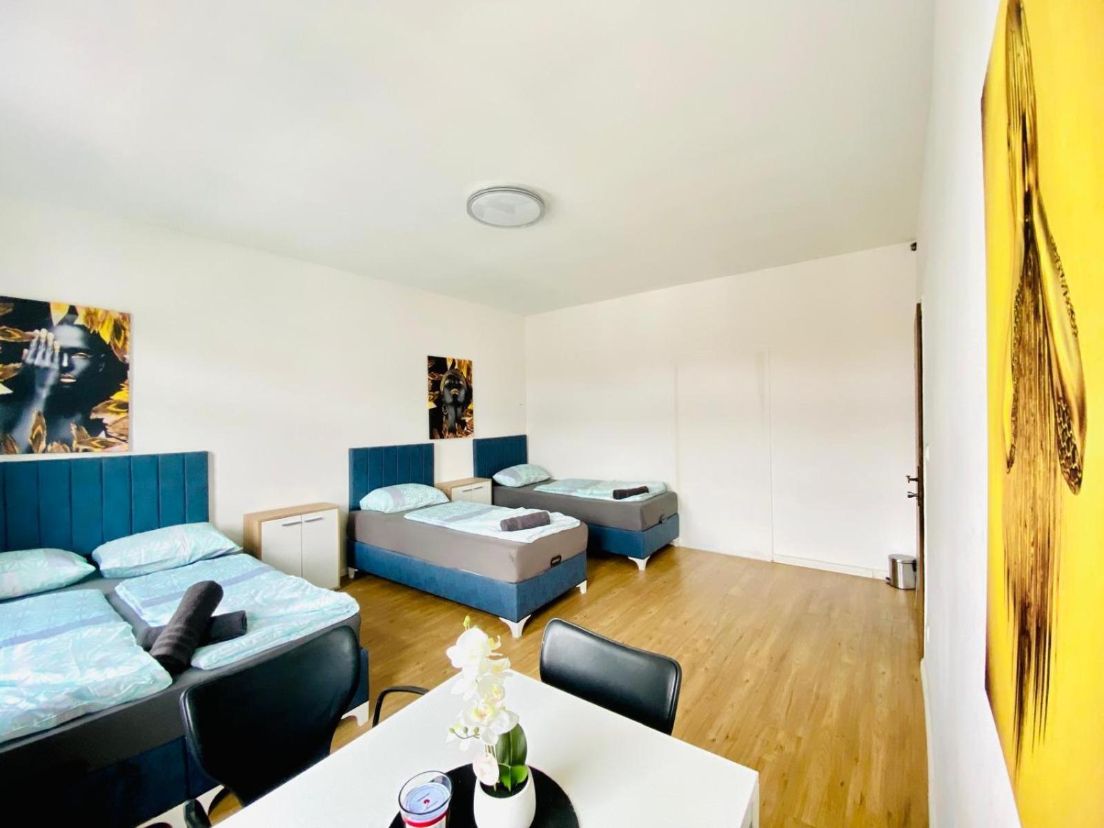 Apartment Spacious 4br Up To 15 Guests 15 Min To Danube
