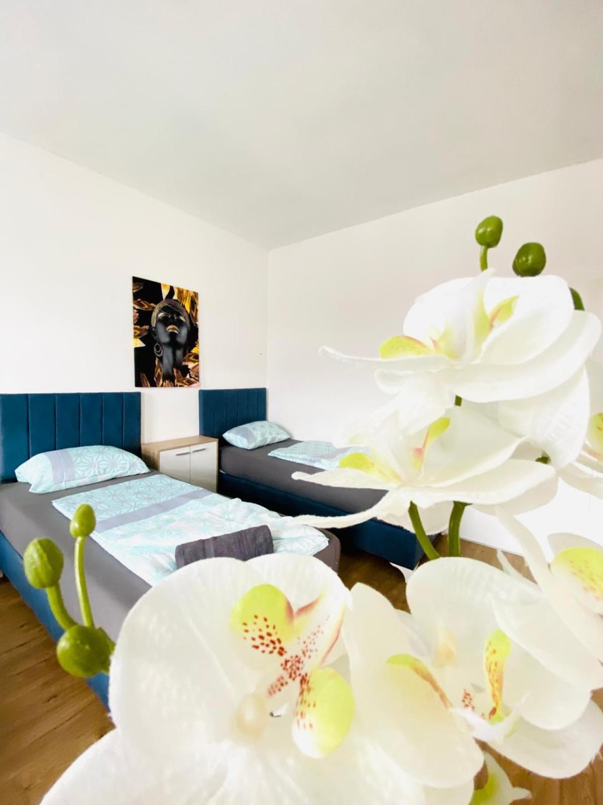 Apartment Spacious 4br Up To 15 Guests 15 Min To Danube Wien
