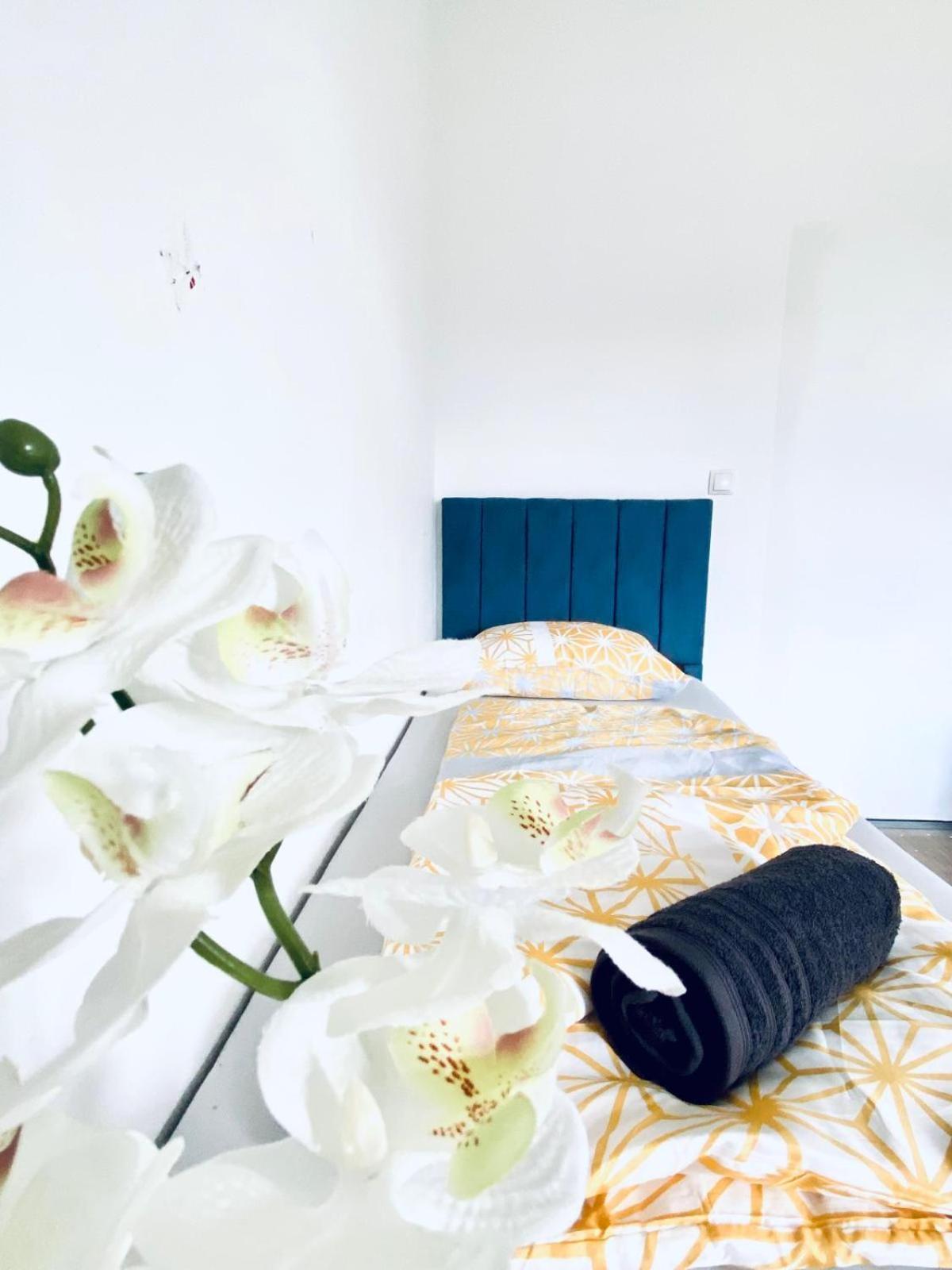 Apartment Spacious 4br Up To 15 Guests 15 Min To Danube Wien