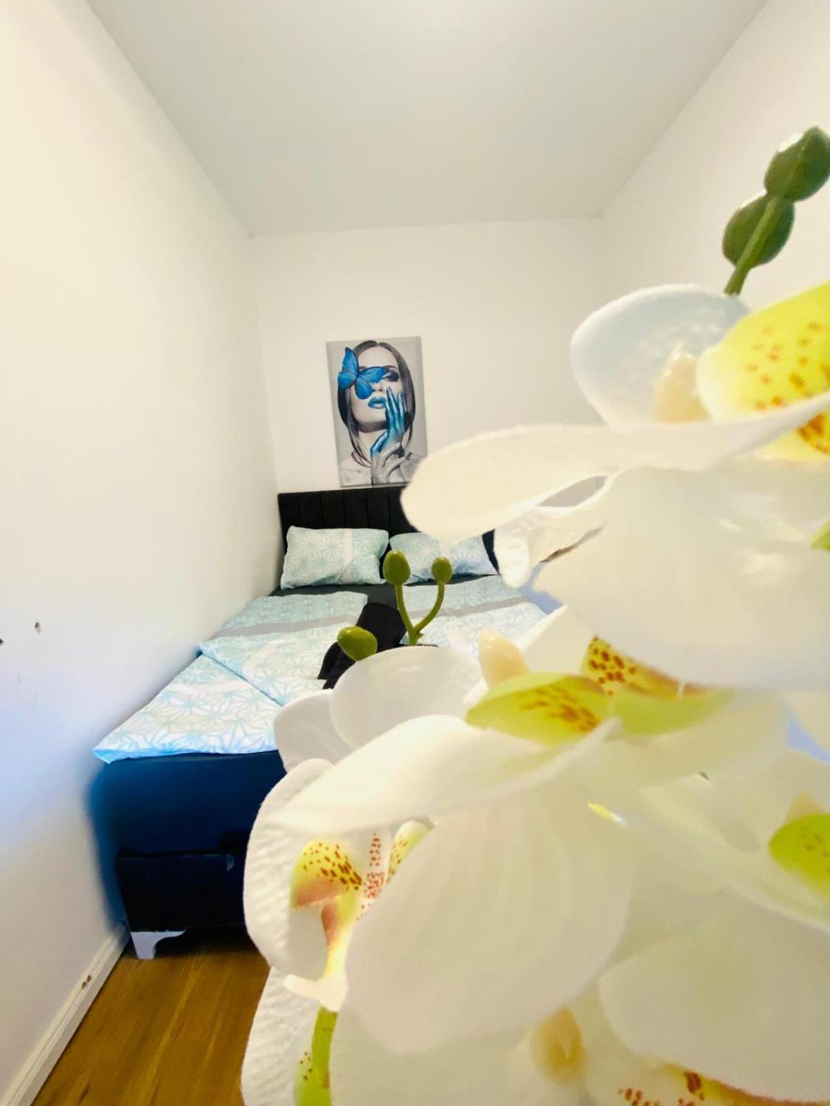 Spacious 4br Up To 15 Guests 15 Min To Danube Apartment Wien